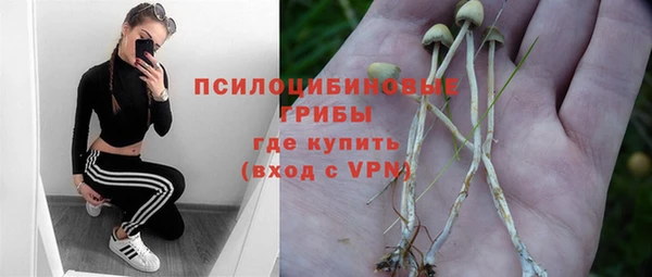 прущие грибы Алексин