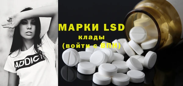 прущие грибы Алексин