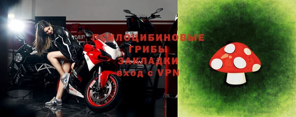прущие грибы Алексин