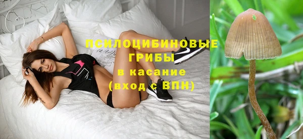 прущие грибы Алексин