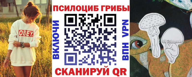 где купить наркоту  Лодейное Поле  Псилоцибиновые грибы Psilocybine cubensis 